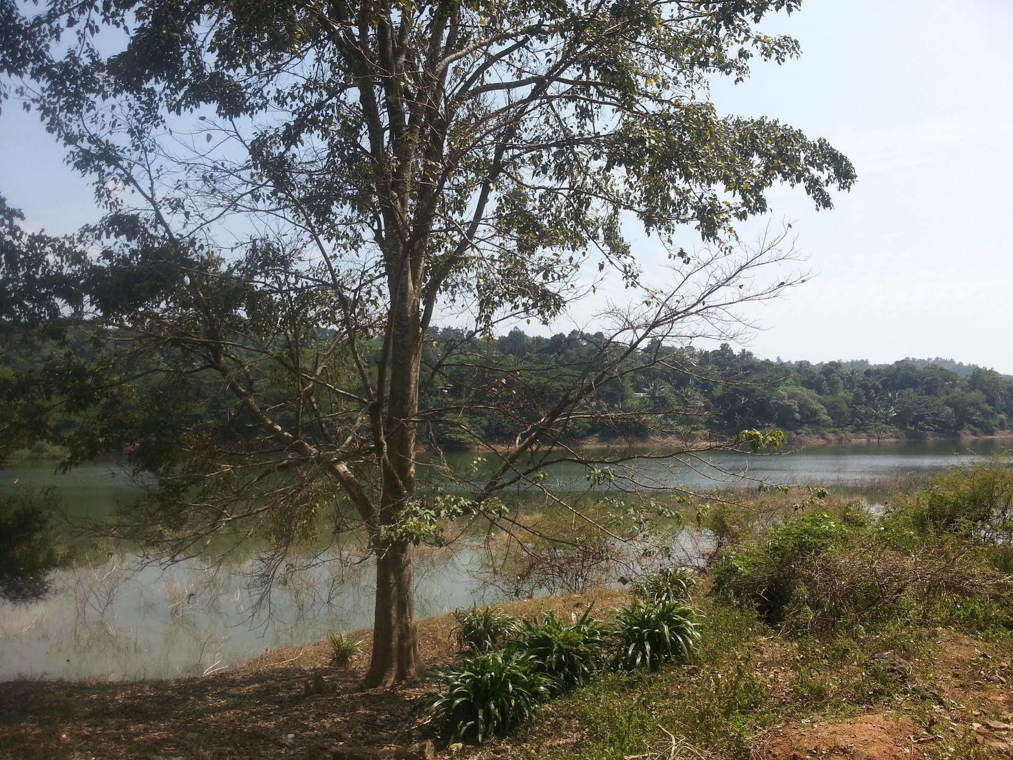 Kandy Holiday Home Bagian luar foto