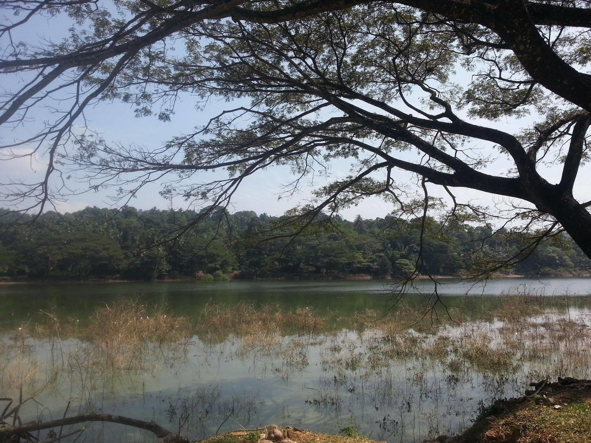 Kandy Holiday Home Bagian luar foto